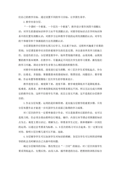 初中分层教学实施方案(6篇).docx