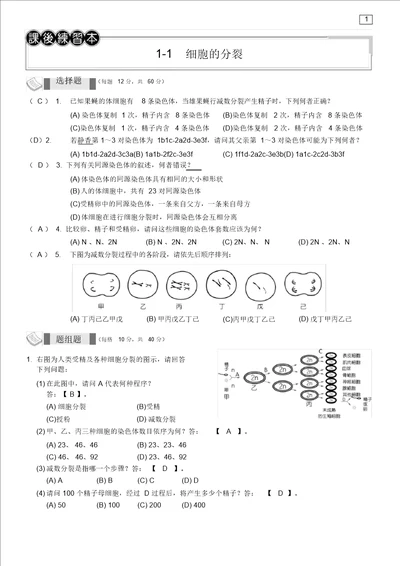 课后练习本教用细胞的分裂2