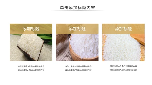 健康绿色有机大米农业粮食推广销售PPT模板