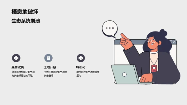 探索非洲野生动物之旅