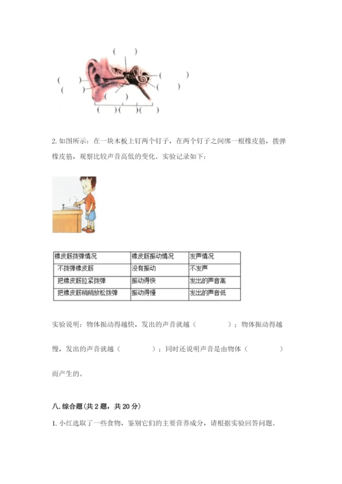 教科版小学科学四年级上册期末测试卷【全国通用】.docx