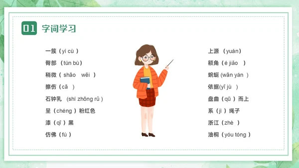 蓝绿色卡通小清新边框四年级语文下册记金华的双龙洞PPT小学语文四年级下册课件