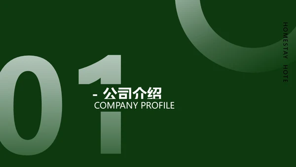 民宿开发项目计划书通用PPT模板