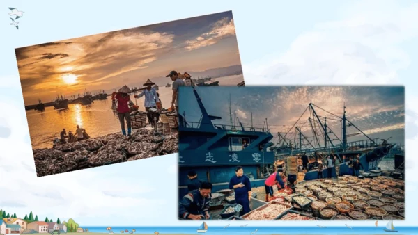 19.《海滨小城》课件