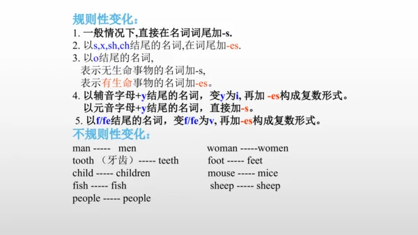 【名词单复数】课件PPT