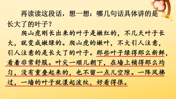 10 爬山虎的脚   课件