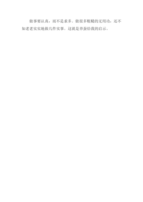 关于养蚕的作文.docx