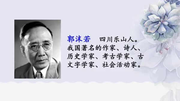 《1 白鹭》课件