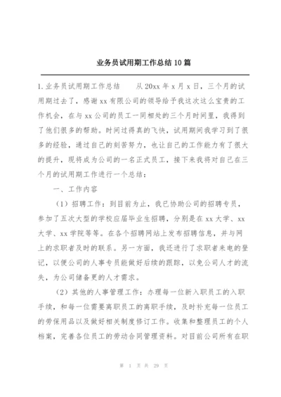 业务员试用期工作总结10篇.docx