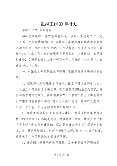 组织工作XX年计划.docx