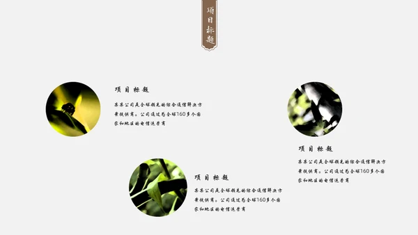 中国风禅意清新画册杂志通用PPT模板