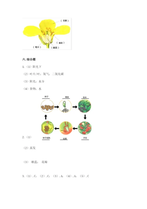 科学四年级下册第一单元《植物的生长变化》测试卷【历年真题】.docx