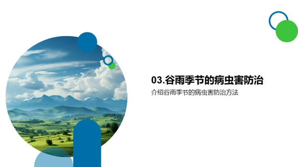 谷雨季节农事指南