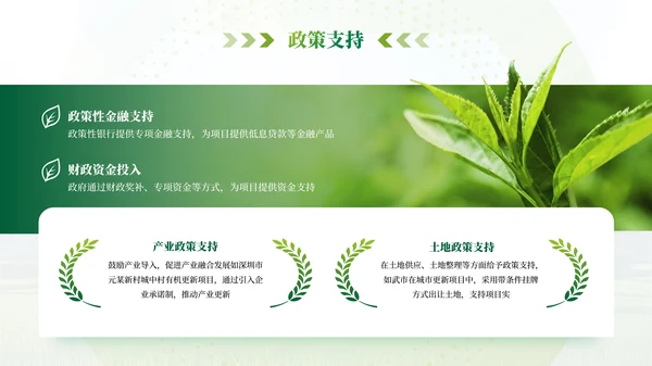 绿色农业乡村项目汇报PPT模板