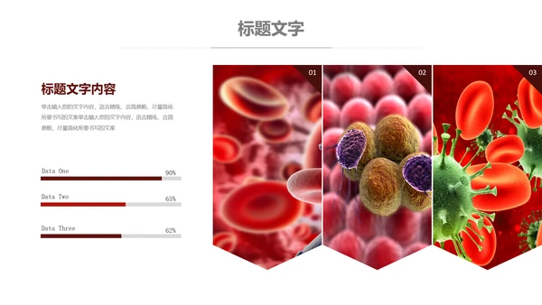 医疗细菌病毒微生物细胞组织动态ppt模板