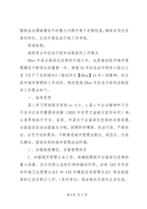 政府法制办年度依法行政工作计划及安排.docx