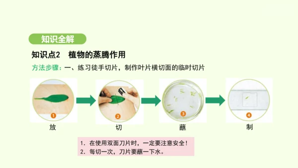第三单元-第二章-第一节-水的利用与散失课件-2024-2025学年七年级生物下学期人教版(2024