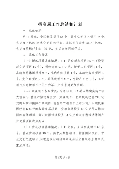 招商局工作总结和计划.docx