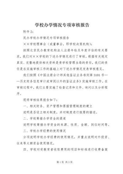 学校办学情况专项审核报告 (2).docx