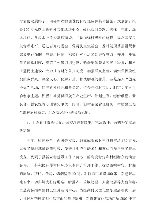 村领导工作总结报告