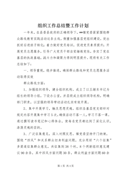 组织工作总结暨工作计划.docx