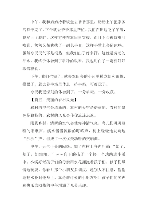 美丽的农村作文300字.docx