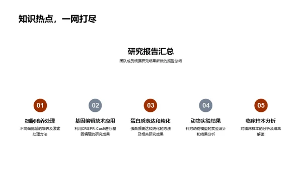 实验团队年度报告