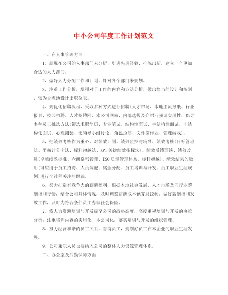精编之中小公司年度工作计划范文.docx