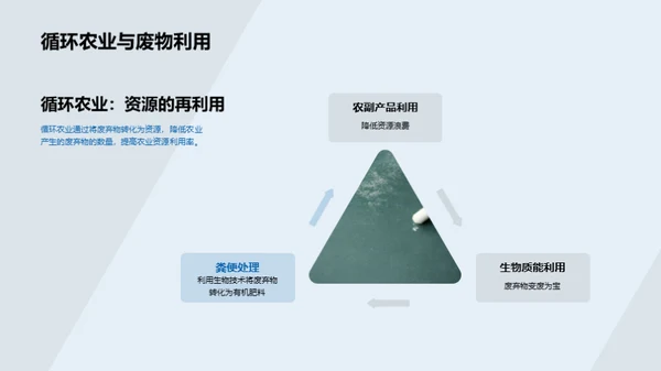 农业科技的进步与变革