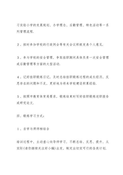 校长挂职锻炼总结.docx