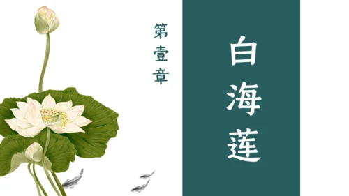 夏雨荷通用PPT模板