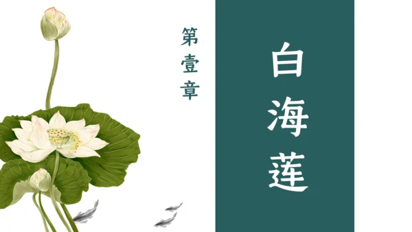 夏雨荷通用PPT模板