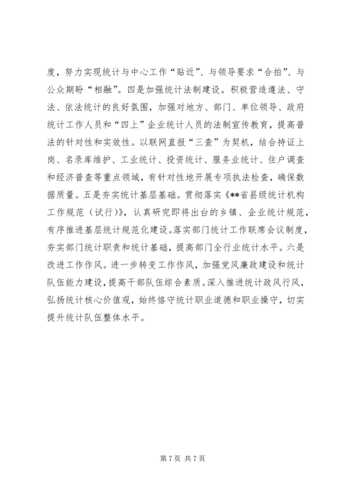 市统计局上半年工作总结及下半年工作计划.docx
