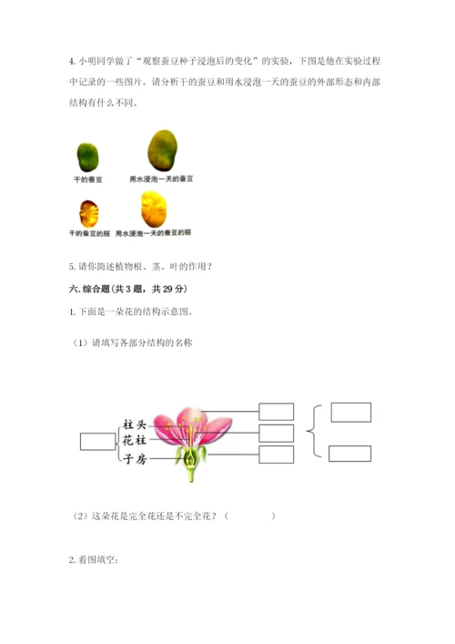 教科版科学四年级下册第一单元《植物的生长变化》测试卷（全优）.docx