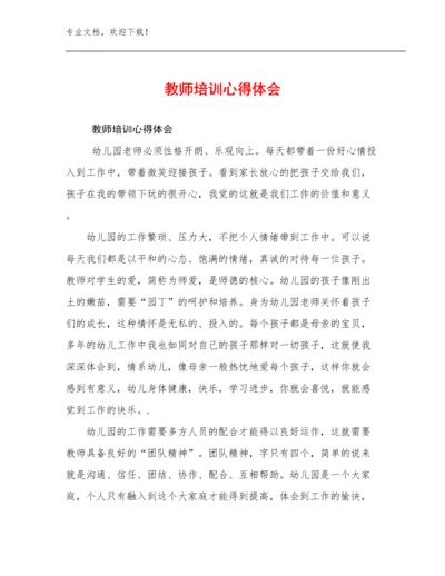 2023教师培训心得体会优选例文20篇.docx