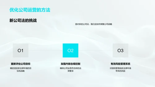 公司法解读报告