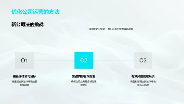 公司法解读报告