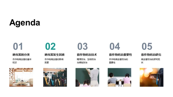 农作物病虫害全解析