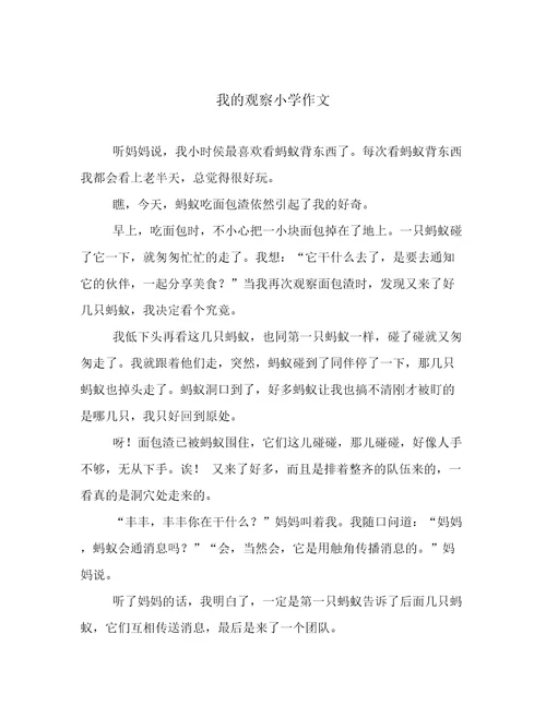 我的观察小学作文