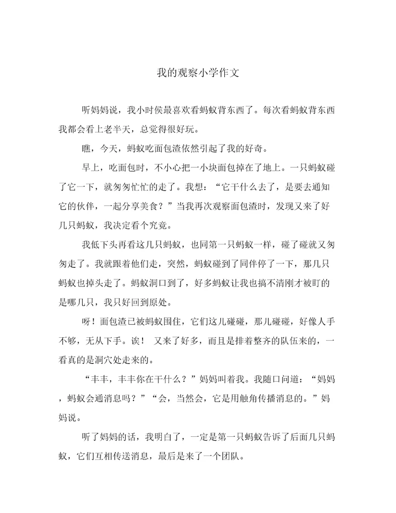 我的观察小学作文
