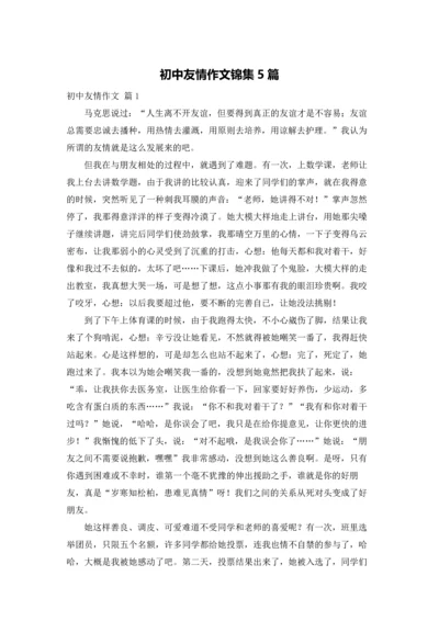 初中友情作文锦集5篇.docx