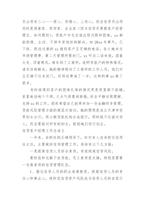 信贷客户经理工作总结.docx