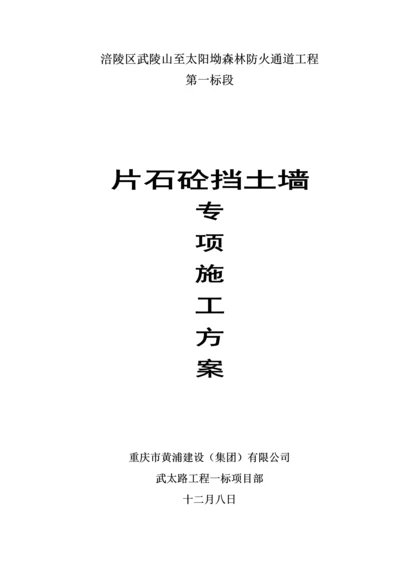 C片石砼综合施工专题方案.docx