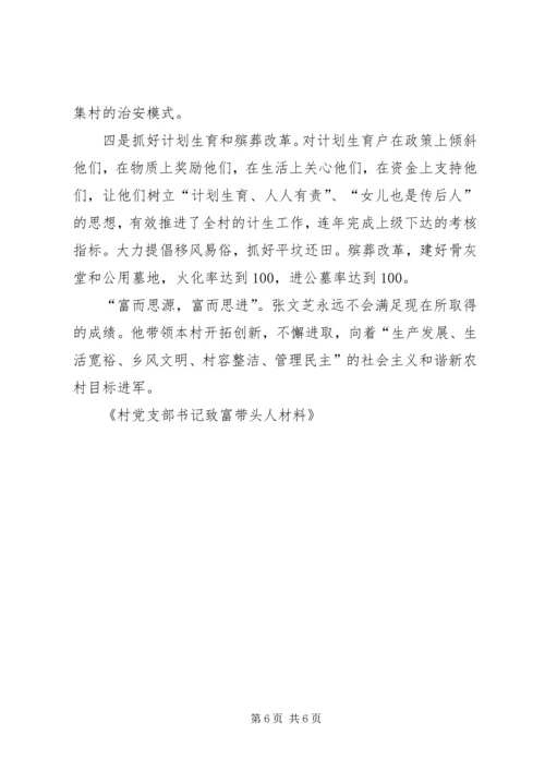 村党支部书记致富带头人材料 (2).docx