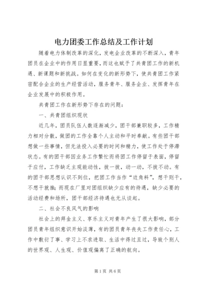 电力团委工作总结及工作计划 (4).docx