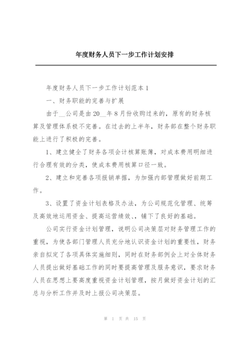 年度财务人员下一步工作计划安排.docx