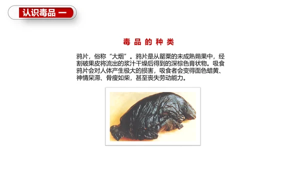 珍爱生命世界禁毒日PPT