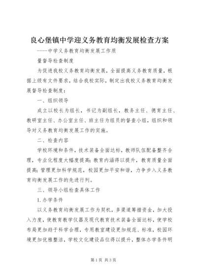 良心堡镇中学迎义务教育均衡发展检查方案 (4).docx