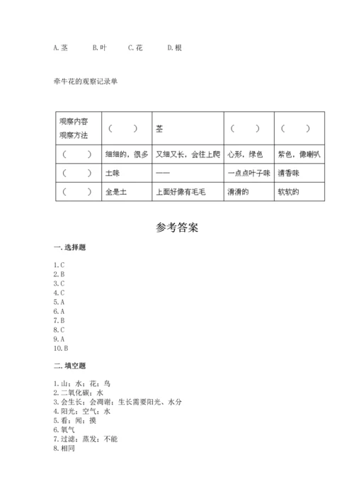 教科版一年级上册科学期末测试卷附参考答案【模拟题】.docx