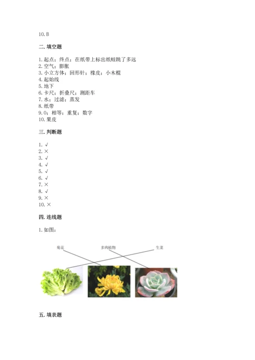 教科版一年级上册科学期末测试卷带答案ab卷.docx